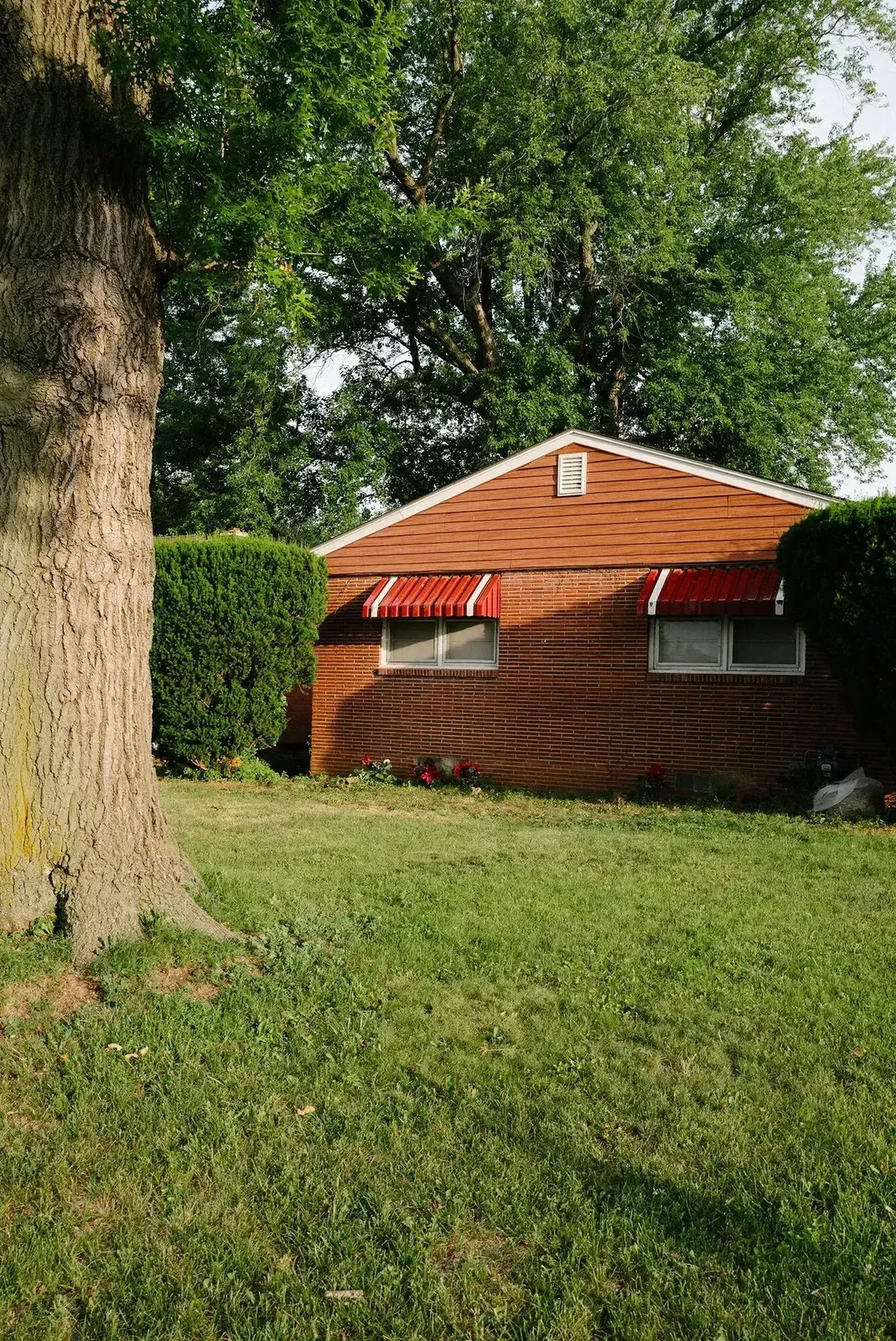 A brick house with red awnings under a tree